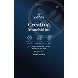 Creatină Monohidrat – Creatină pudră micronizată 200 mesh pentru performanță fizică și forță musculară. Pudră 300g Supliment alimentar Faunus Plant 
