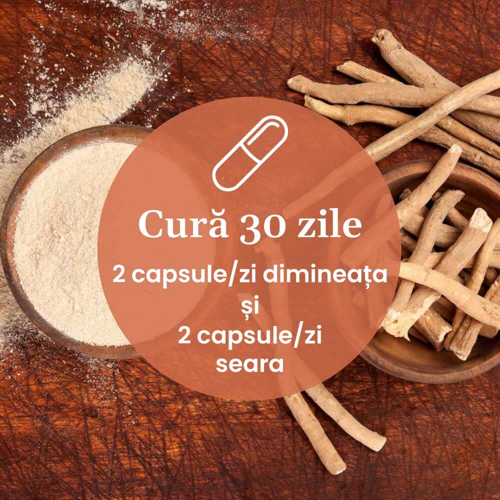 Imagine cu rădăcini de maca uscate într-un mojar, cu un mojar cu pulbere de maca alături, având pe mijloc un medalion color unde scrie despre cura de 30 zile cu câte 2 capsile pe zi dimineața și 2 capsule pe zi seara, de Calmenor Zi, respectiv Calmenor Noapte.