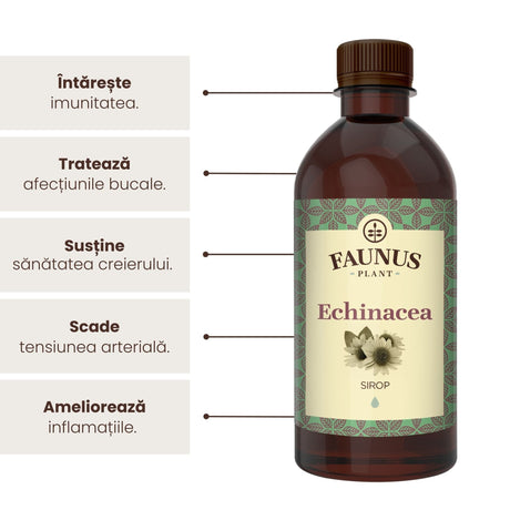 Sirop Echinacea de la Faunus Plant de 500 ml, alături de o listă de beneficii precum întărirea sistemului imunitar, tratarea afecțiunilor bucale, susținerea sănătății creierului, precum și menținerea tensiunii arteriale la nivel optim, dar și ameliorarea inflamațiilor. | Cantitate - 500ml