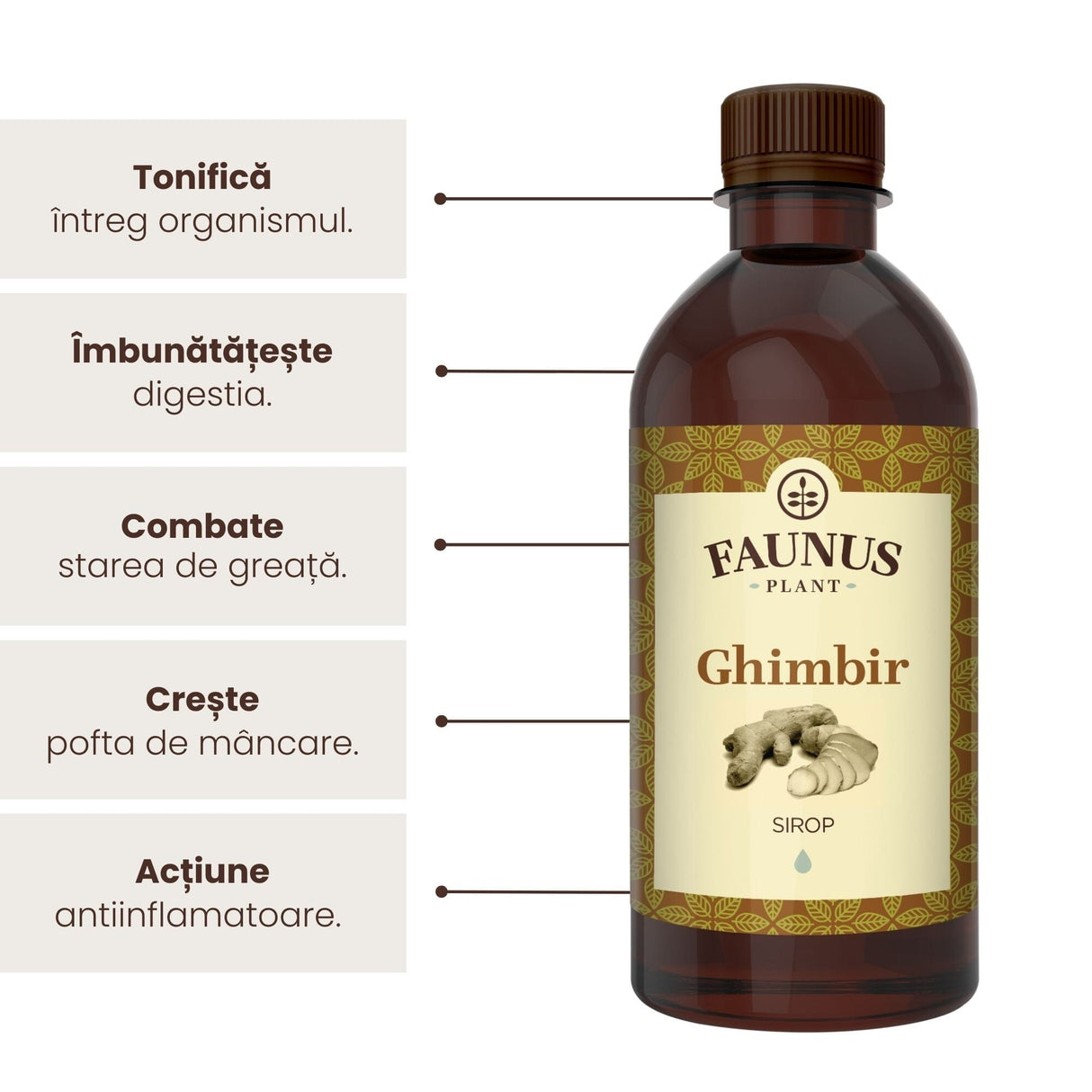 Ghimbir - Sirop. Flacon 500ml. Tonic general, ajută la eliminarea toxinelor Sirop Faunus Plant 