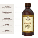 Ghimbir - Sirop. Flacon 500ml. Tonic general, ajută la eliminarea toxinelor Sirop Faunus Plant 