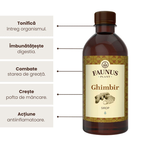 Sirop Ghimbir de la Faunus Plant de 500 ml, alături de o listă de beneficii precum tonifierea întregului organism, îmbunătățirea digestiei, combaterea stării de greață, creșterea poftei de mâncare precum și ameliorarea inflamațiilor. | Cantitate - 500ml