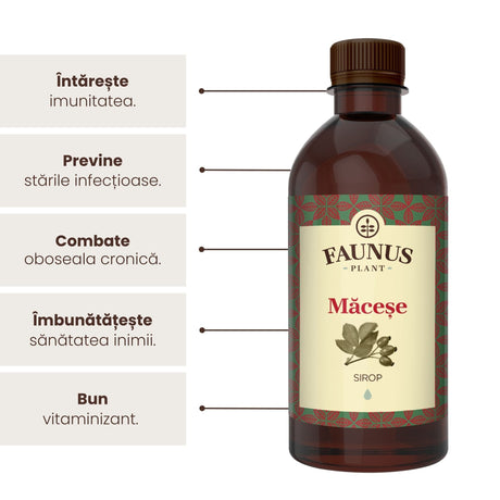 Sirop Măceșe de la Faunus Plant de 500 ml, alături de o listă de beneficii precum tonifierea întregului organism, îmbunătățirea imunității, prevenirea stărilor infecțioase,combaterea oboselii cronice, îmbunătățirea sănățății inimii precum și, în final, apare că e un bun vitaminizant. | Cantitate - 500ml