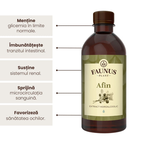 Beneficii principale ale Tincturii Afin 500 ml de la Faunus Plant precum: menținerea glicemiei în limite normale, îmbunătățirea tranzitului intestinal, susținerea sistemului renal, sprijinirea microcirculației sanguine și favorizarea sănătății ochilor. | Cantitate - 500ml