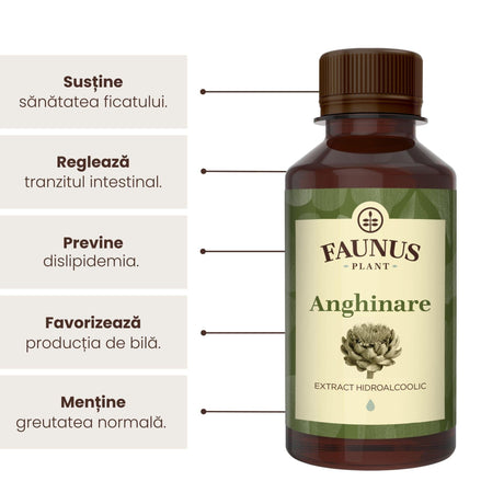 Beneficii principale ale Tincturii Anghinare 200 ml de la Faunus Plant precum: susținerea sănătății ficatului, reglarea tranzitului intestinal, prevenirea dislipidemiei, favorizarea producției de bilă și menținerea greutății normale.