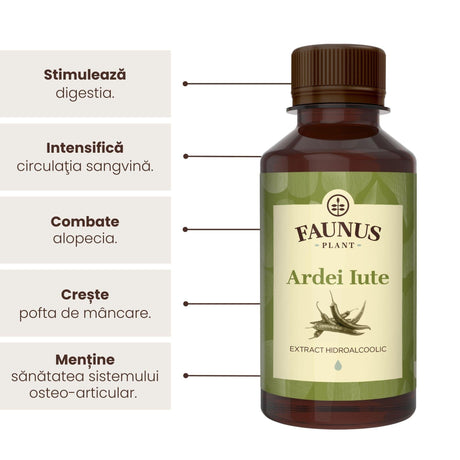 Beneficii principale ale Tincturii de Ardei iute 200 ml de la Faunus Plant precum: stimularea digestiei, intensificarea circulației sangvine, combaterea alopeciei, creșterea poftei de mâncare, menținerea sănătății osteo-articular.