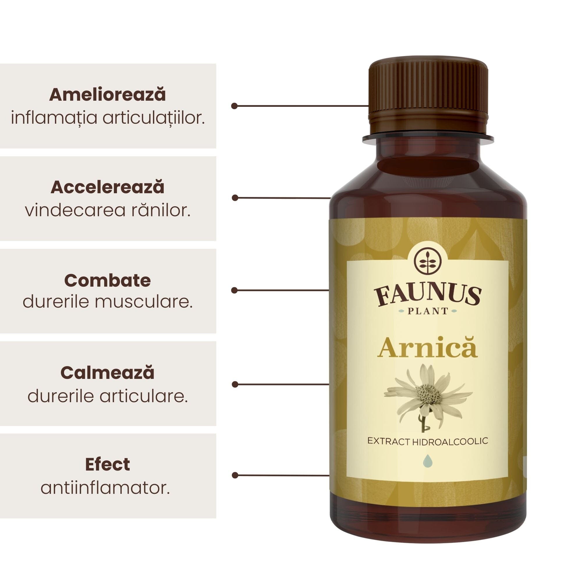 Beneficii principale ale Tincturii de Arnică 200 ml de la Faunus Plant precum: ameliorarea inflamației articulațiilor, accelerarea vindecării rănilor, combaterea durerilor musculare, calmarea durerilor articulare și efect antiinflamator.