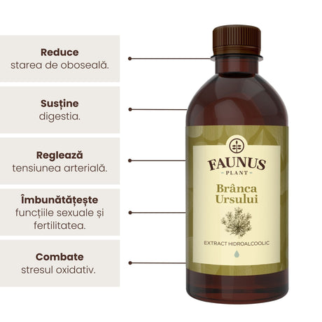 Beneficii principale ale Tincturii Brânca Ursului 500 ml de la Faunus Plant precum: reducerea stării de oboseală, susținerea digestiei, reglarea tensiunii arteriale, îmbunătățirea funcției sexuale și fertilitatea, dar și combaterea stresului oxidativ. | Cantitate - 500ml