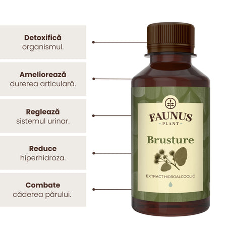 Beneficii principale Tinctură Brusture 200 ml de la Faunus Plant precum: detoxifierea organismului, ameliorarea durerii articulare, reglarea sistemului urinar, reducerea hiperhidrozei, combaterea căderii părului.