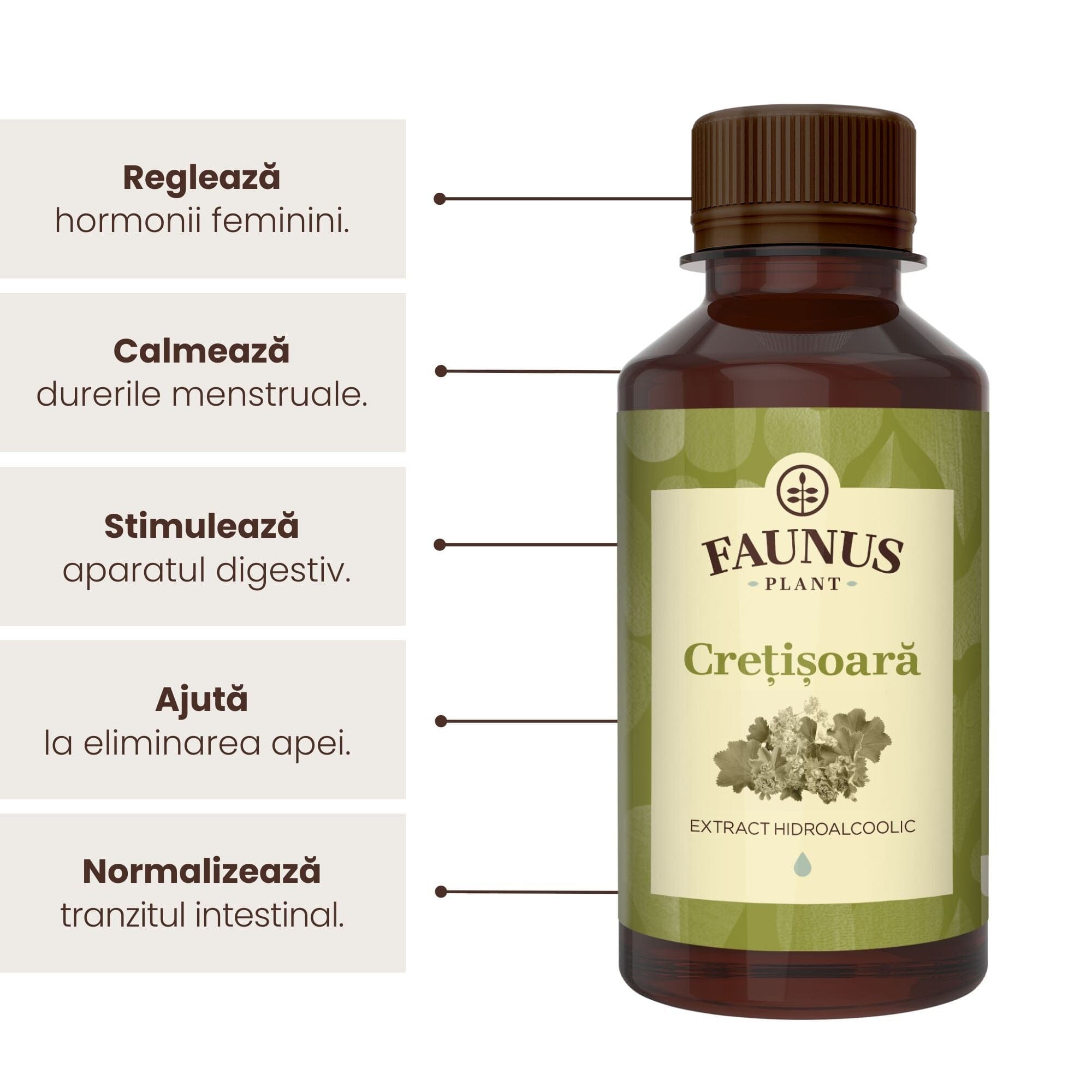 Beneficii principale Tinctură Crețișoara 200 ml de la Faunus Plant precum: reglarea hormonilor feminini, calmarea durerilor musculare, stimularea aparatului digestiv, eliminarea apei și normalizarea tranzitului intestinal. 
