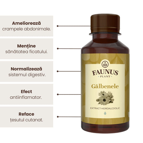Beneficii principale Tinctură Gălbenele 200 ml de la Faunus Plant precum: ameliorarea crampelor abdominale, menținerea sănătății ficatului, normalizarea sistemului digestiv, bun antiinflamator și refacerea țesutului cutanat.