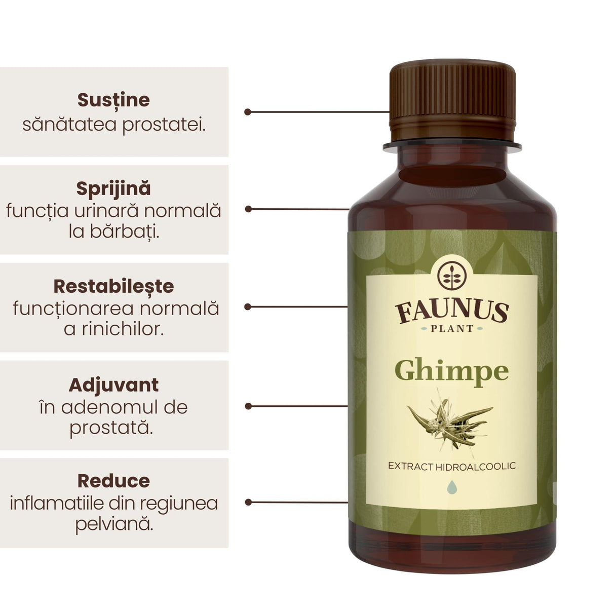 Ghimpe - Tinctură. Flacon 200 ml. Extract hidroalcoolic concentrat din planta medicinală ghimpe pentru un sistem urinar masculin sănătos Tinctura Simpla Faunus Plant 