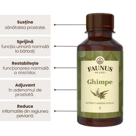 Beneficii principale Tinctură Gastricus 200 ml de la Faunus Plant precum: susținerea sănătății prostatei, sprijinirea funcției urinale normale la bărbați, restabilirea funcționării normale a rinichilor, adjuvant în adenomul de prostată și reducerea inflamațiilor din regiunea pelviană.