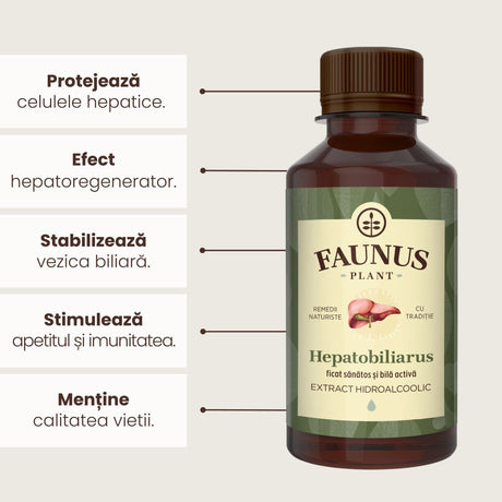 Beneficii principale Tinctură Hepatobiliarus 200 ml de la Faunus Plant precum: protejarea celulelor hepatice, are efect hepatoregenerator, stabilizează vezica biliară, stimulează apetitul și imunitatea și menține calitatea vieții.