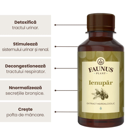 Beneficii principale Tinctură Ienupăr 200 ml de la Faunus Plant precum: detoxifierea tractului urinar, stimularea sistemului renal și urinar, decongestionarea tractului respirator, normalizarea secreției bronșice și creșterea poftei de mâncare. | Cantitate - 200ml