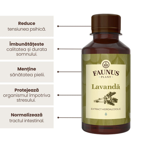 Beneficii principale Tinctură Lavandă 200 ml de la Faunus Plant precum: reducerea tensiunii psihice, îmbunătățirea calității și durata somnului, menținerea sănătății pielii, protejarea organismului împotriva stresului, respectiv normalizarea tractului intestinal.