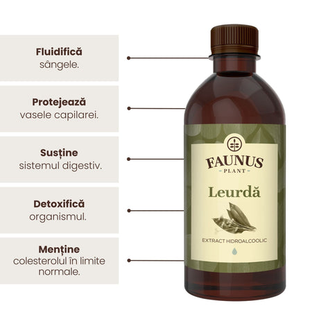 Beneficii principale Tinctură Leurdă 500 ml de la Faunus Plant precum: fluidificarea sângelui, protejarea vaselor capilare, susținerea sistemului digestiv, detoxifierea organismului, menținerea colesterolului în limite normale. | Cantitate - 500ml