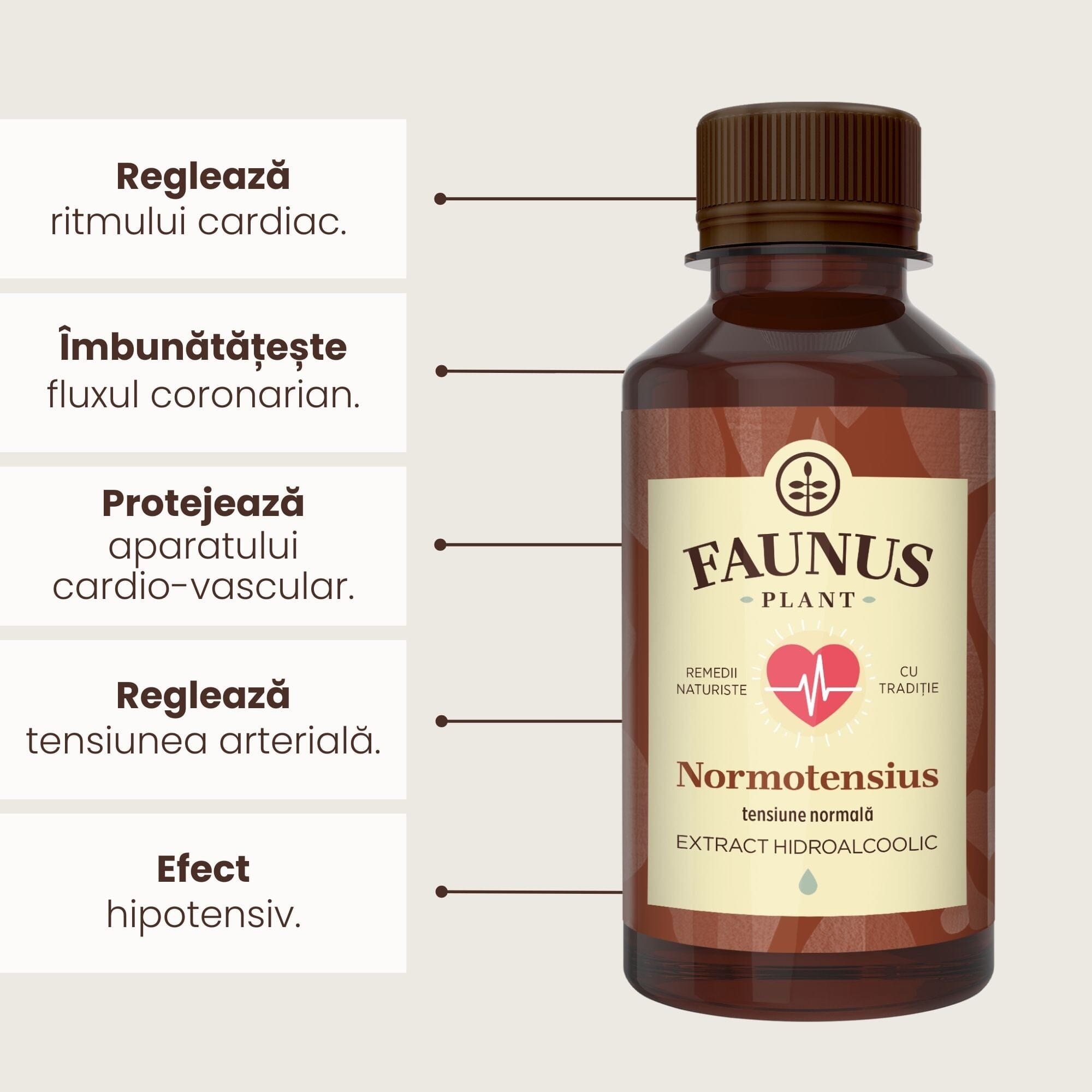 Beneficii principale Tinctură Normotensius 200 ml de la Faunus Plant precum: reglarea ritmului cardiac, îmbunătățirea fluxului coronarian, protejarea aparatului cardio-vascular, reglarea tensiunii arteriale și are efect hipotensiv.