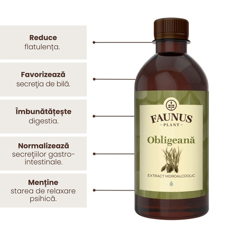 Beneficii principale Tinctură Obligeană 500 ml de la Faunus Plant precum: reducerea flatulenței, favorizarea secrețiie de bilă, îmbunătățirea digestiei, normalizarea secrețiilor gastro-intestinale și menținerea stării de relaxare psihică. | Cantitate - 500ml