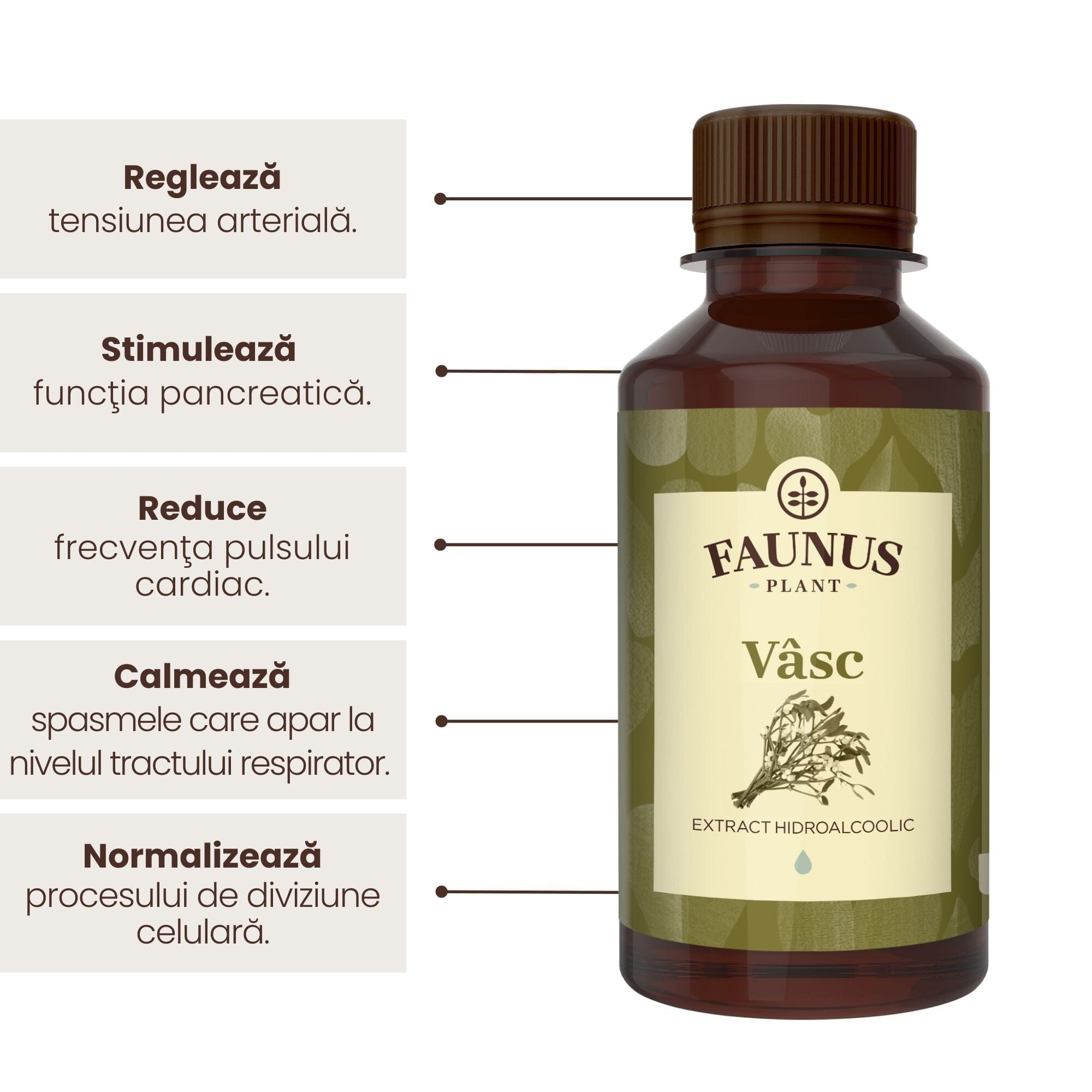 Flacon de tinctură Tinctură Vâsc 200ml de la Faunus Plant, alături de reprezentare grafică a beneficiilor precum: reglarea tensiunii arteriale, stimularea funcției pancreatice, reducerea pulsului cardiac, calmarea spasmelor de la tractul respirator și normalizarea procesului de diviziune celulară.