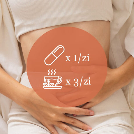 Element grafic circular afișat pe mijloc cu o ilustrație ce indică administrarea unei capsule Menstrana pe zi și 3 căni de ceai Ginecologicus pe zi, având pe fundal o imagine cu o femeie întinsă, cu mâinile pe abdomen.