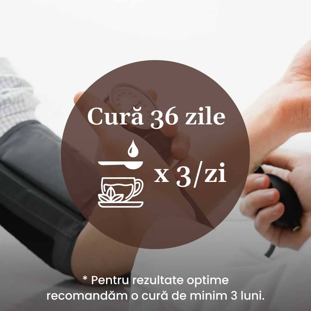 Instrucțiuni de administrare a Pachetului Normotensius de la Faunus Plant: cură recomandată de 36 de zile, cu consum de 3 ori pe zi, menționat pe fundalul unei imagini cu o persoană măsurând tensiunea.