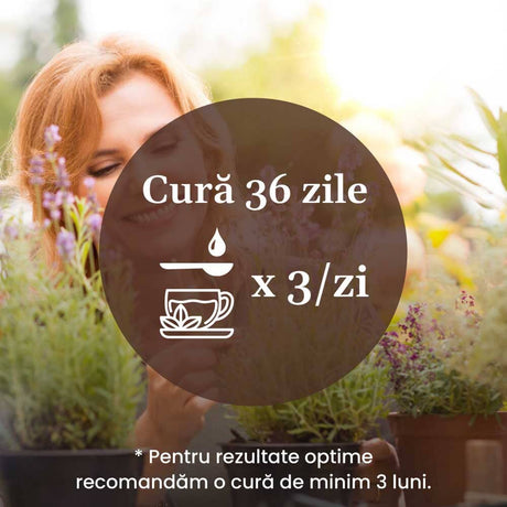 Recomandare pentru administrare Pachet Gastricus de la Faunus Plant: cură de 36 zile cu utilizare de 3 ori pe zi, cu o imagine grafică simbolică a unei linguri și unei cești.