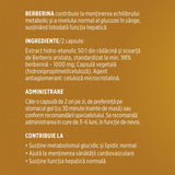 Berberină 1000 mg / 2 capsule. Formulă naturală pentru echilibru metabolic, menținerea colesterolului și trigliceridelor în valori optime. Flacon 60 capsule Supliment alimentar Faunus Plant 