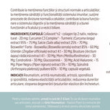 Etichetă desfășurată pentru Colagenus Capsule de la Faunus Plant cu detalii privind beneficiile, listă completă de ingrediente, indicații referitoare la consum și recomandarea unei cure de 3-6 luni.