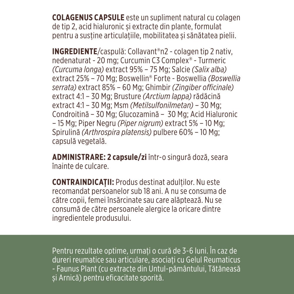 Colagenus Capsule - Colagen concentrat tip II, acid hialuronic și plante medicinale. Dureri articulare, rezistență articulații, flexibilitate - 60 Capsule Supliment alimentar Faunus Plant 