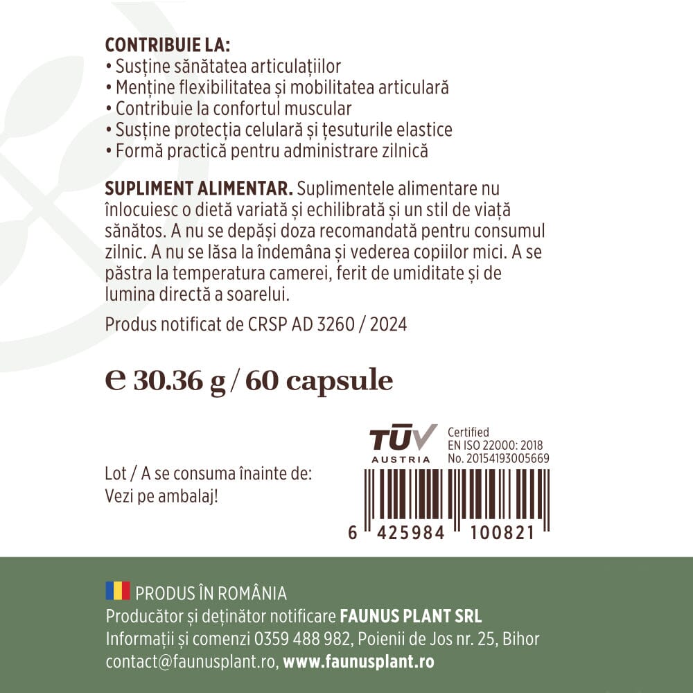 Colagenus Capsule - Colagen concentrat tip II, acid hialuronic și plante medicinale. Dureri articulare, rezistență articulații, flexibilitate - 60 Capsule Supliment alimentar Faunus Plant 