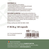 Colagenus Capsule - Colagen concentrat tip II, acid hialuronic și plante medicinale. Dureri articulare, rezistență articulații, flexibilitate - 60 Capsule Supliment alimentar Faunus Plant 