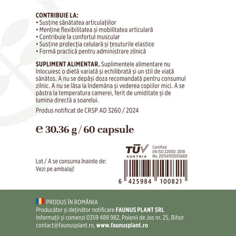 Colagenus Capsule - Colagen concentrat tip II, acid hialuronic și plante medicinale. Dureri articulare, rezistență articulații, flexibilitate - 60 Capsule Supliment alimentar Faunus Plant 
