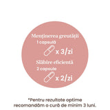 ProSilueth Capsule - Formulă unică pentru cura de slăbire, plante medicinale cu acțiune dovedită pentru accelerarea metabolismului, arderea grăsimilor, reducerea apetitului și detoxifierea organismului - 90 capsule Supliment alimentar Faunus Plant 