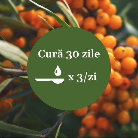 Imagine de fundal cu fructe de cătină, având un element grafic circular de culoare verde cu un text în mijloc despre cura de 30 de zile cu Sirop Cătină 500ml, sugerând 1 linguriță de 3 ori pe zi.
