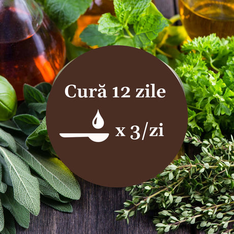 Imagine cu plante din componența siropului Respiratorus 200ml Faunus Plant cu element grafic circular de culoare maro cu un text în mijloc despre cura de 12 zile cu Sirop Respiratorus, sugerând 1 linguriță de 3 ori pe zi.