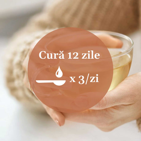 Imagine de fundal cu mâinile unei persoane care se bucură de o cană de ceai, având un element grafic circular de culoare maro deschis cu un text în mijloc sugerând aplicarea unei cure de 12 zile prin administrarea prin uz intern de 3 ori pe zi.