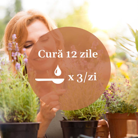 Imagine de fundal cu o doamnă care se bucură de prezența planetelor medicinale, având un element grafic circular de culoare maro deschis cu un text în mijloc sugerând aplicarea unei cure de 12 zile prin administrarea prin uz intern de 3 ori pe zi.