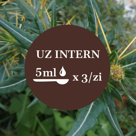 Imagine de fundal cu frunze de ghimpe, având un element grafic circular de culoare maro închis cu un text în mijloc sugerând administrarea prin uz intern a câte 5 ml de 3 ori pe zi.