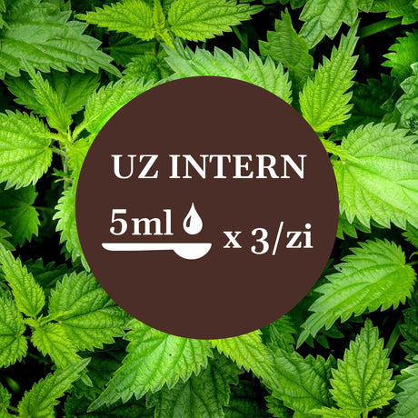 Modul de administrare a Tincturii Urzică 200 ml: recomandare pentru uz intern, administrare 5 ml de 3 ori pe zi. În imaginea de fundal, frunze de urzică.