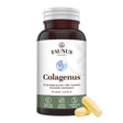 Colagenus Capsule - Colagen concentrat tip II, acid hialuronic și plante medicinale. Dureri articulare, rezistență articulații, flexibilitate - 60 Capsule Supliment alimentar Faunus Plant 