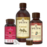 Pachet Vitaminizant Imunitate Adulti de la Faunus Plant, compus din cutie cu produse Faunus Plant pentru imunitate, incluzând tinctura Vitaminizantus și capsule Vitaminizantus Forte, alături de un recipient de tinctură Cătină. Ambalajele sunt maro și roșu, subliniind caracterul natural și tradițional al produselor.