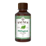 Sirop de Pătlagină cu Miere și Propolis de 200 ml de la Faunus Plant pozat din față pe fundal alb