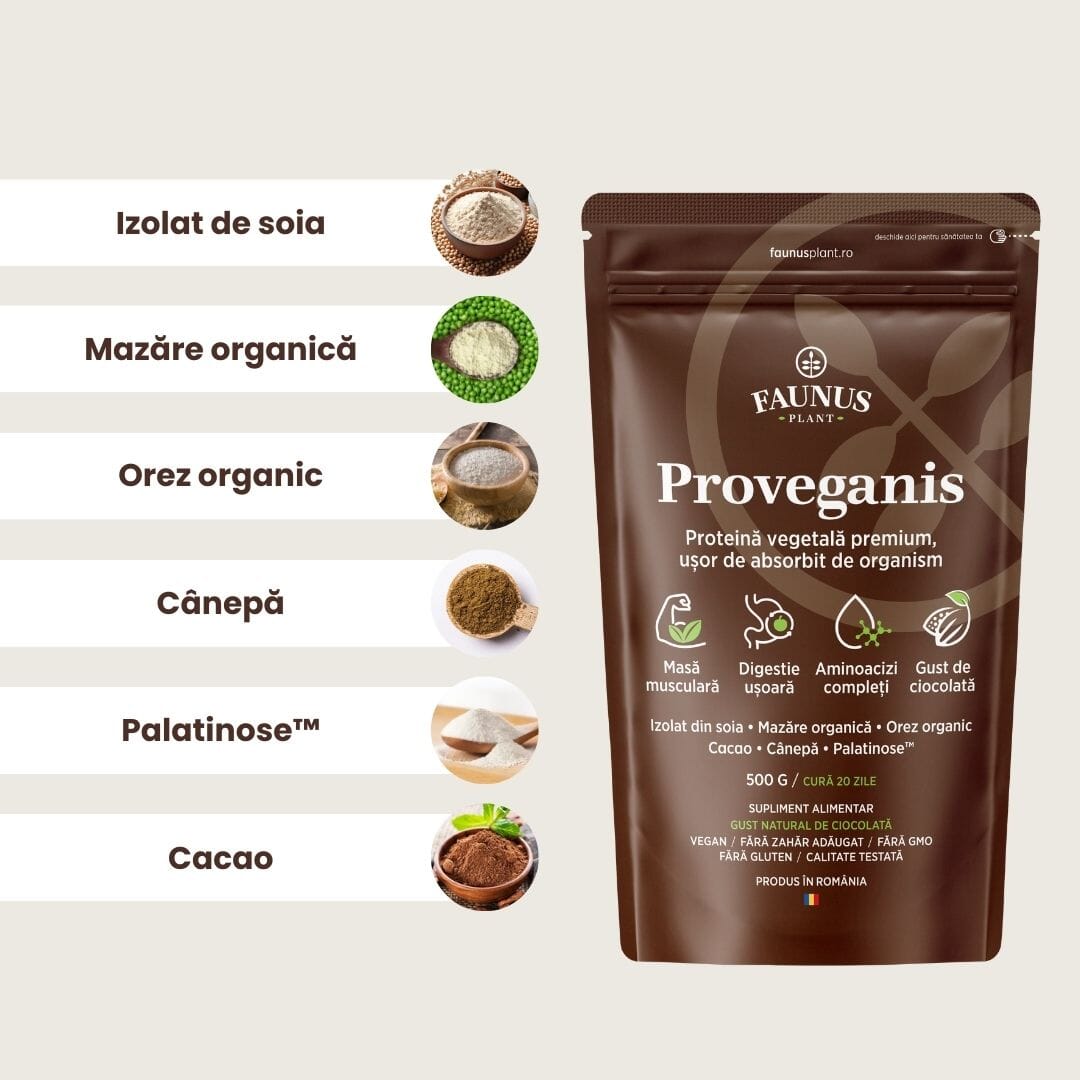 Proveganis - Proteină vegetală cu aromă de ciocolată. Amestec natural pentru energie și susținerea masei musculare. Pudră 500 g Supliment alimentar Faunus Plant 
