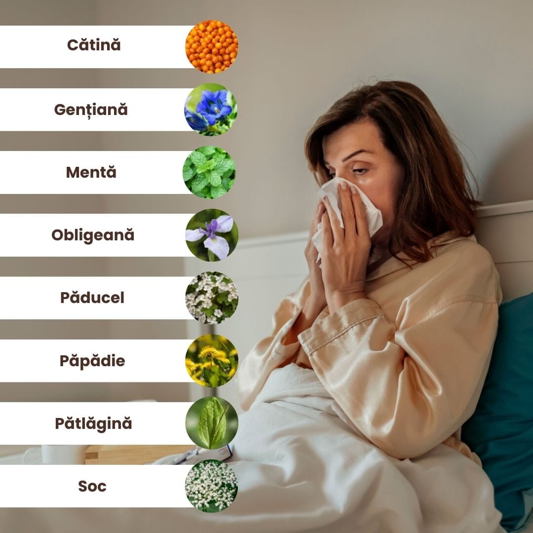 Lista principalelor ingrediente pentru Pachet Bitter de la Faunus Plant, evidențiate prin imagini cu plantele medicinale și denumirea lor. Pe fundal, o femeie răcită care stă în pat și își suflă nasul.
