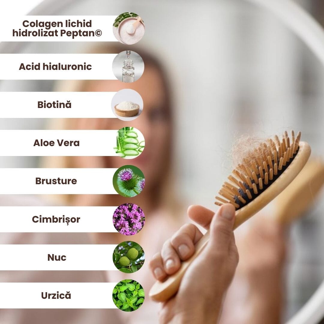 Lista ingredientelor naturale din Pachetul Capilarus Forte: colagen lichid hidrolizat Peptan®, acid hialuronic, biotină, aloe vera, brusture, cimbrișor, nuc și urzică. În fundal, imagine cu o femeie ținând în mână o perie cu fire de păr.