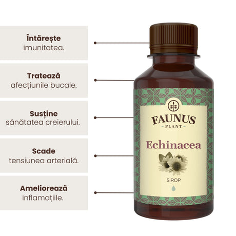 Sirop Echinacea 200ml de la Faunus Plant, alături de o listă de beneficii precum întărirea sistemului imunitar, tratarea afecțiunilor bucale, susținerea sănătății creierului, precum și menținerea tensiunii arteriale la nivel optim, dar și ameliorarea inflamațiilor. | Cantitate - 200ml