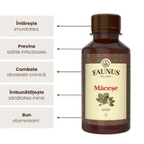 Măceșe - Sirop. Flacon 200ml. Efect vitaminizant, crește rezistența organismului în fața infecțiilor Sirop Faunus Plant 