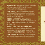 Ghimbir - Sirop. Flacon 200ml. Tonic general, ajută la eliminarea toxinelor Sirop Faunus Plant 