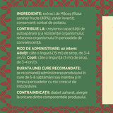 Măceșe - Sirop. Flacon 200ml. Efect vitaminizant, crește rezistența organismului în fața infecțiilor Sirop Faunus Plant 